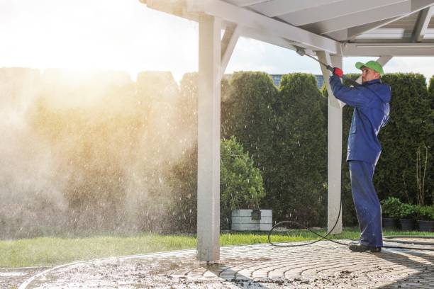 Best Gutter Cleaning  in Greenville, DE
